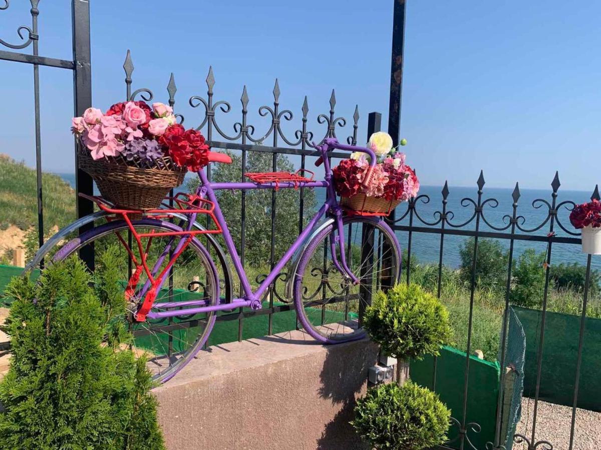 Flower Breeze Chebanka المظهر الخارجي الصورة