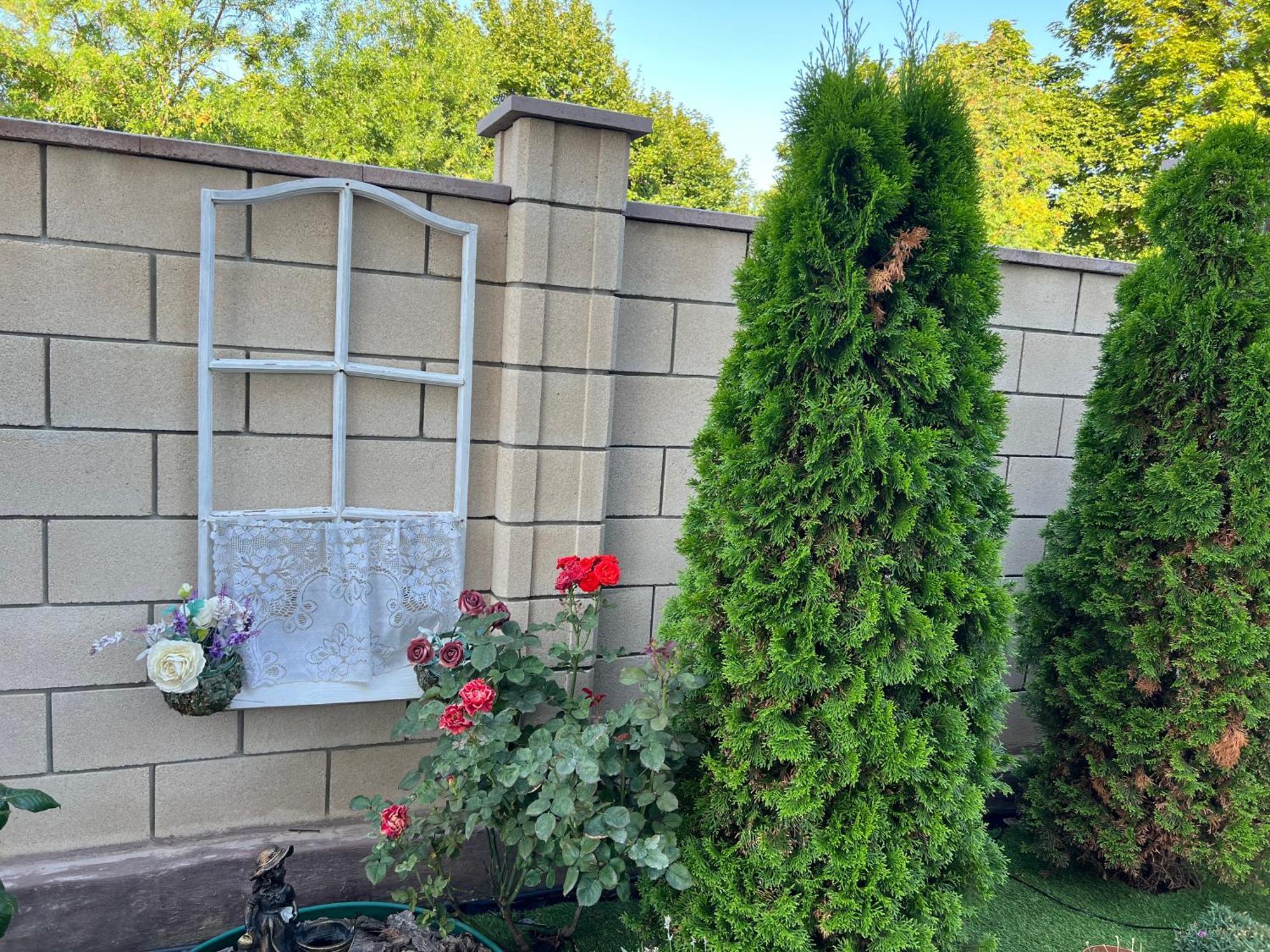 Flower Breeze Chebanka المظهر الخارجي الصورة